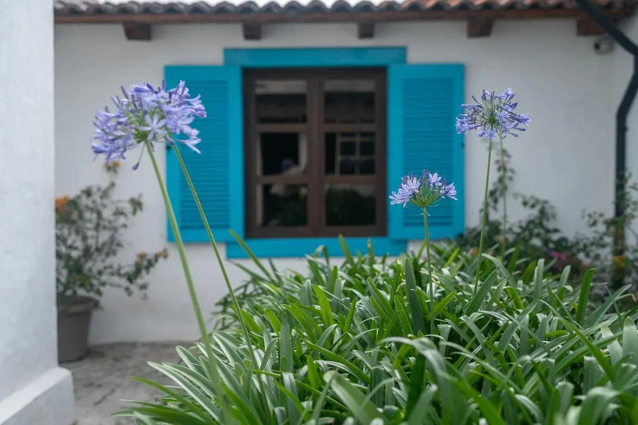 Barbara'S Boutique Hostel Antigua Guatemala